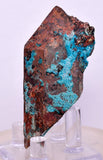 3.6cms QUARTZ CHRYSOCOLLA BOTRYOIDAL TENTADORA MINE PERU MINERAL SPECIMEN CB228