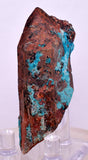 3.6cms QUARTZ CHRYSOCOLLA BOTRYOIDAL TENTADORA MINE PERU MINERAL SPECIMEN CB228