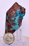 3.6cms QUARTZ CHRYSOCOLLA BOTRYOIDAL TENTADORA MINE PERU MINERAL SPECIMEN CB228