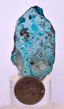 4.4cms QUARTZ CHRYSOCOLLA BOTRYOIDAL TENTADORA MINE PERU MINERAL SPECIMEN CB229