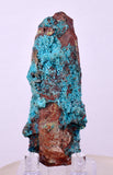 7.2cms QUARTZ CHRYSOCOLLA BOTRYOIDAL TENTADORA MINE PERU MINERAL SPECIMEN CB230