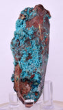 7.2cms QUARTZ CHRYSOCOLLA BOTRYOIDAL TENTADORA MINE PERU MINERAL SPECIMEN CB230