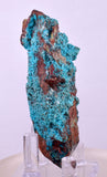 7.2cms QUARTZ CHRYSOCOLLA BOTRYOIDAL TENTADORA MINE PERU MINERAL SPECIMEN CB230