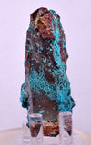 7.2cms QUARTZ CHRYSOCOLLA BOTRYOIDAL TENTADORA MINE PERU MINERAL SPECIMEN CB230