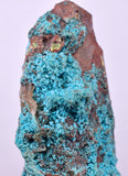 7.2cms QUARTZ CHRYSOCOLLA BOTRYOIDAL TENTADORA MINE PERU MINERAL SPECIMEN CB230