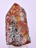 5.5cms QUARTZ CHRYSOCOLLA BOTRYOIDAL TENTADORA MINE PERU MINERAL SPECIMEN CB231
