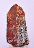 5.5cms QUARTZ CHRYSOCOLLA BOTRYOIDAL TENTADORA MINE PERU MINERAL SPECIMEN CB231