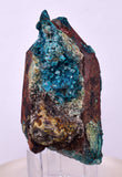 6.6cms QUARTZ CHRYSOCOLLA BOTRYOIDAL TENTADORA MINE PERU MINERAL SPECIMEN CB232