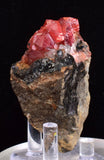 6.5cms RHODOCHROSITE CRYSTALS PERU OLD STOCK UCHUCCHACUA MINERAL SPECIMEN RB781