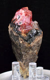6.5cms RHODOCHROSITE CRYSTALS PERU OLD STOCK UCHUCCHACUA MINERAL SPECIMEN RB781