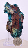 6.6cms QUARTZ CHRYSOCOLLA BOTRYOIDAL TENTADORA MINE PERU MINERAL SPECIMEN CB232
