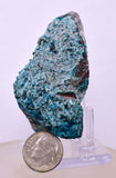 5.8cms QUARTZ CHRYSOCOLLA BOTRYOIDAL TENTADORA MINE PERU MINERAL SPECIMEN CB233