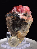 6.5cms RHODOCHROSITE CRYSTALS PERU OLD STOCK UCHUCCHACUA MINERAL SPECIMEN RB781