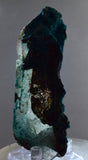 9.5cms QUARTZ CHRYSOCOLLA BOTRYOIDAL TENTADORA MINE PERU MINERAL SPECIMEN CB227