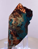 3.6cms QUARTZ CHRYSOCOLLA BOTRYOIDAL TENTADORA MINE PERU MINERAL SPECIMEN CB228