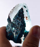 5.8cms QUARTZ CHRYSOCOLLA BOTRYOIDAL TENTADORA MINE PERU MINERAL SPECIMEN CB233