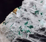 4.6cms GEM ATACAMITE INSIDE SELENITE CRYSTAL LILY MINE PERU  TB179