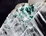 4.6cms GEM ATACAMITE INSIDE SELENITE CRYSTAL LILY MINE PERU  TB179