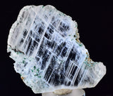 4.6cms GEM ATACAMITE INSIDE SELENITE CRYSTAL LILY MINE PERU  TB179