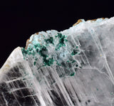4.7cms GEM ATACAMITE INSIDE SELENITE CRYSTAL LILY MINE PERU  TB180