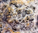 2.8cms NATIVE SILVER WIRE PERU UCHUCCHACUA MINE MINERAL SPECIMEN HB374