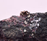 4.2cms NATIVE SILVER WIRE PERU UCHUCCHACUA MINE MINERAL SPECIMEN HB381