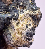 2.7cms NATIVE SILVER WIRE PERU UCHUCCHACUA MINE MINERAL SPECIMEN HB382