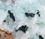 5.2cms DRUZY CHRYSOCOLLAATACAMITE PERU COPPER 2000 DISCOVERY DB120
