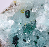 5.2cms DRUZY CHRYSOCOLLAATACAMITE PERU COPPER 2000 DISCOVERY DB120