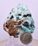 5.2cms DRUZY CHRYSOCOLLAATACAMITE PERU COPPER 2000 DISCOVERY DB120