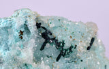 4.8cms DRUZY CHRYSOCOLLA ATACAMITE PERU COPPER 2000 DISCOVERY DB122