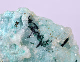 4.8cms DRUZY CHRYSOCOLLA ATACAMITE PERU COPPER 2000 DISCOVERY DB122