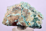 4.8cms DRUZY CHRYSOCOLLA ATACAMITE PERU COPPER 2000 DISCOVERY DB122