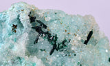 4.8cms DRUZY CHRYSOCOLLA ATACAMITE PERU COPPER 2000 DISCOVERY DB122