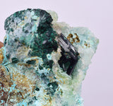 4.8cms DRUZY CHRYSOCOLLA ATACAMITE PERU COPPER 2000 DISCOVERY DB122