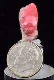 2.2cms GEM RHODOCHROSITE CRYSTALS PERU UCHUCCHACUA MINE MINERAL SPECIMEN RB699