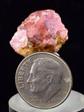 1.8cms GEM RHODOCHROSITE CRYSTALS PERU UCHUCCHACUA MINE MINERAL SPECIMEN RB701