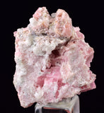 2.1cms RHODOCHROSITE QUARTZ CRYSTAL RHOMBOHEDRAL MINIATURE RB702