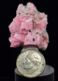 2.1cms RHODOCHROSITE QUARTZ CRYSTAL RHOMBOHEDRAL MINIATURE RB702