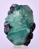 3.5cms GREEN FLUORITE JORDANITE SPHALERITE CRYSTALS PERU MILPO PERU KB95
