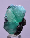 3.5cms GREEN FLUORITE JORDANITE SPHALERITE CRYSTALS PERU MILPO PERU KB95