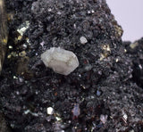 6.2cms PYRITE QUARTZ SPHALERRITE CRYSTALS PERU HUANZALA MB205