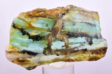 157 cts GEM BLUE OPAL PERU SLAB SCENIC SEASCAPE MINERAL SPECIMEN BB430