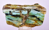 157 cts GEM BLUE OPAL PERU SLAB SCENIC SEASCAPE MINERAL SPECIMEN BB430