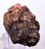 5.1cm RHODOCHROSITE CRYSTALS PERU OLD STOCK UCHUCCHACUA MINERAL SPECIMEN RB708