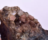 5.1cm RHODOCHROSITE CRYSTALS PERU OLD STOCK UCHUCCHACUA MINERAL SPECIMEN RB711