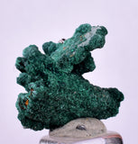2.5cms MALACHITE CRYSTALS MINERAL SPECIMEN AHOULI MINES MOROCCO UB338