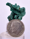 2.5cms MALACHITE CRYSTALS MINERAL SPECIMEN AHOULI MINES MOROCCO UB338