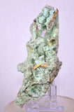 10.7cms GEM CHRYSOCOLLA INSIDE SELENITE CRYSTAL LILY MINE PERU  TB187