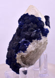 6cms BLUE FLUORITE QUARTZ CRYSTALS HUANGGANG MINES CHINA KB125